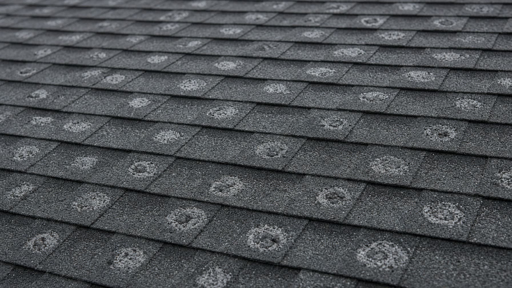 Hail-bruised asphalt shingles after a North Texas storm