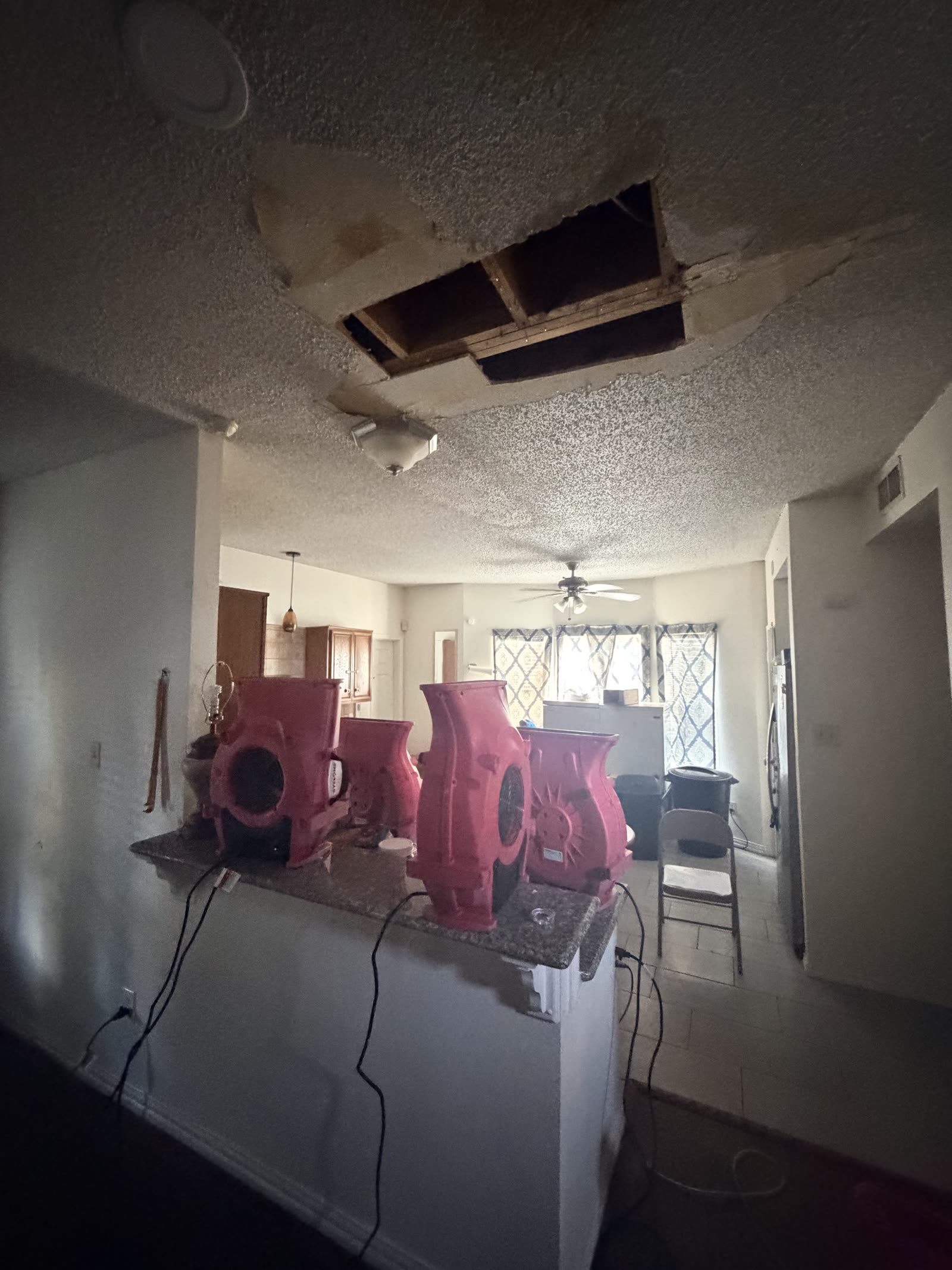 Fort Worth — kitchen ceiling opened to joists with air movers below