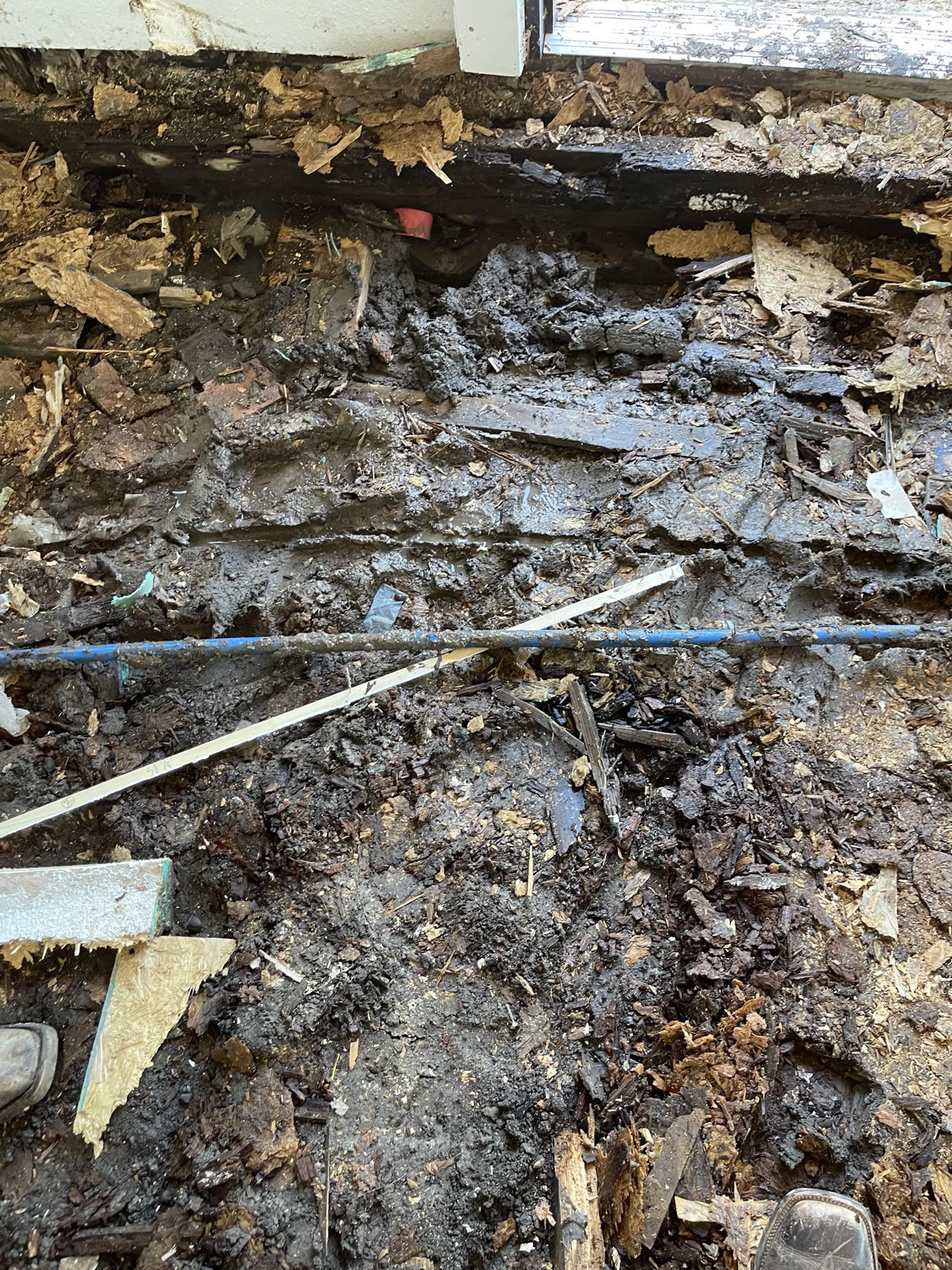 Fort Worth — wet soil and wood in the crawl