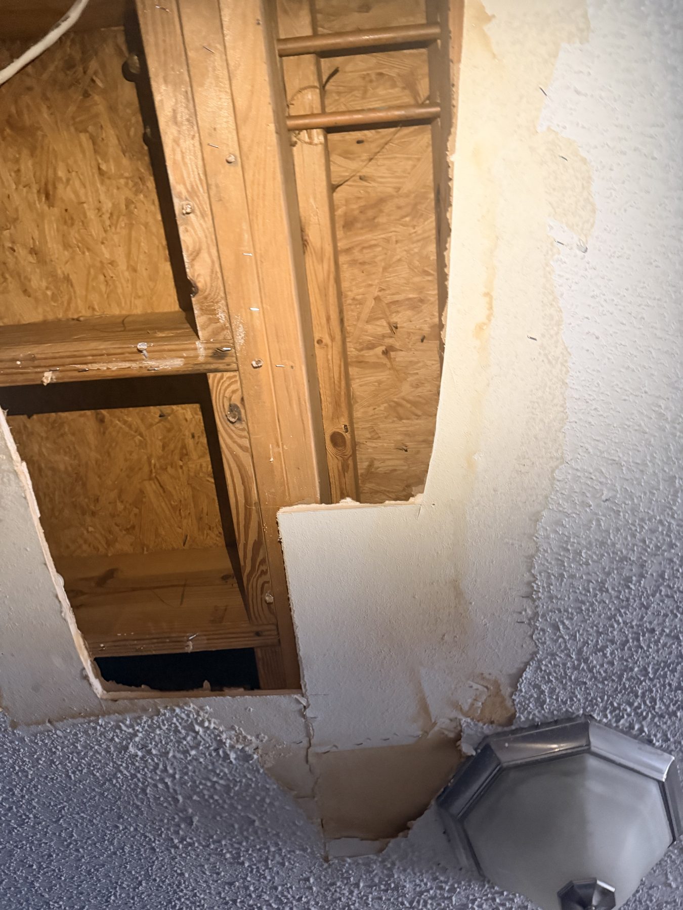 Fort Worth — flood-cut drywall