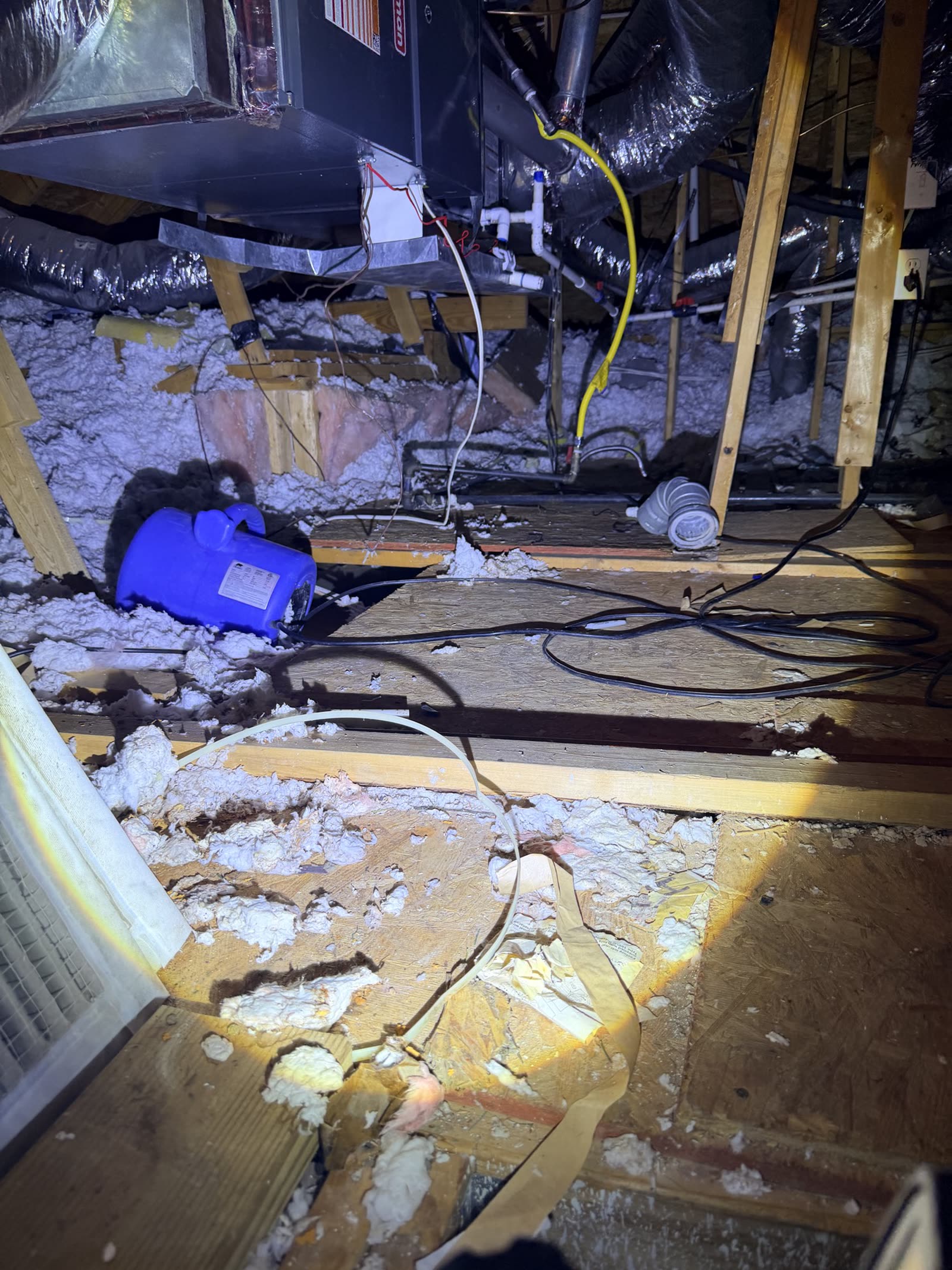 Fort Worth — air mover in a wet attic