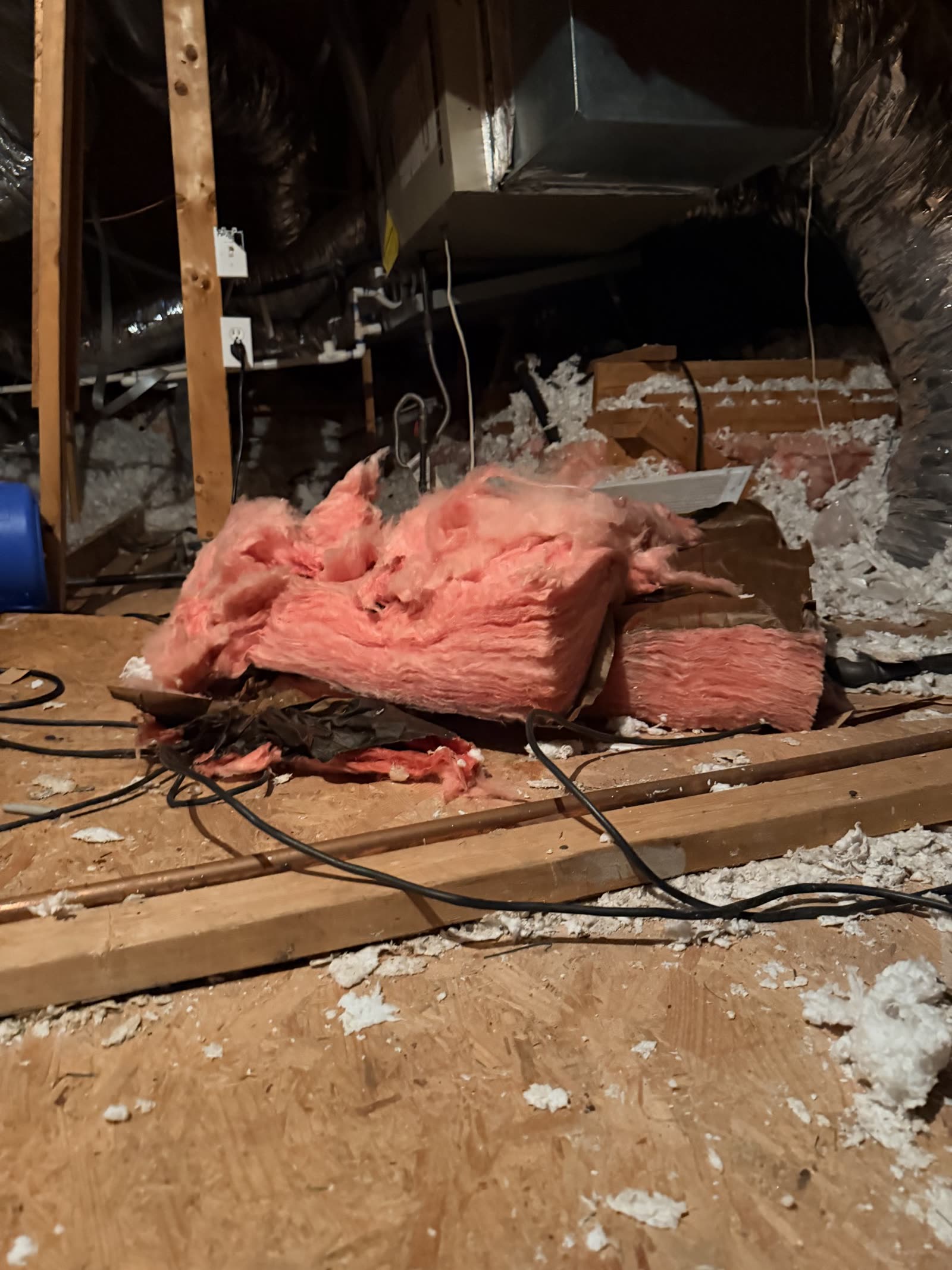Fort Worth — wet insulation pulled in an attic