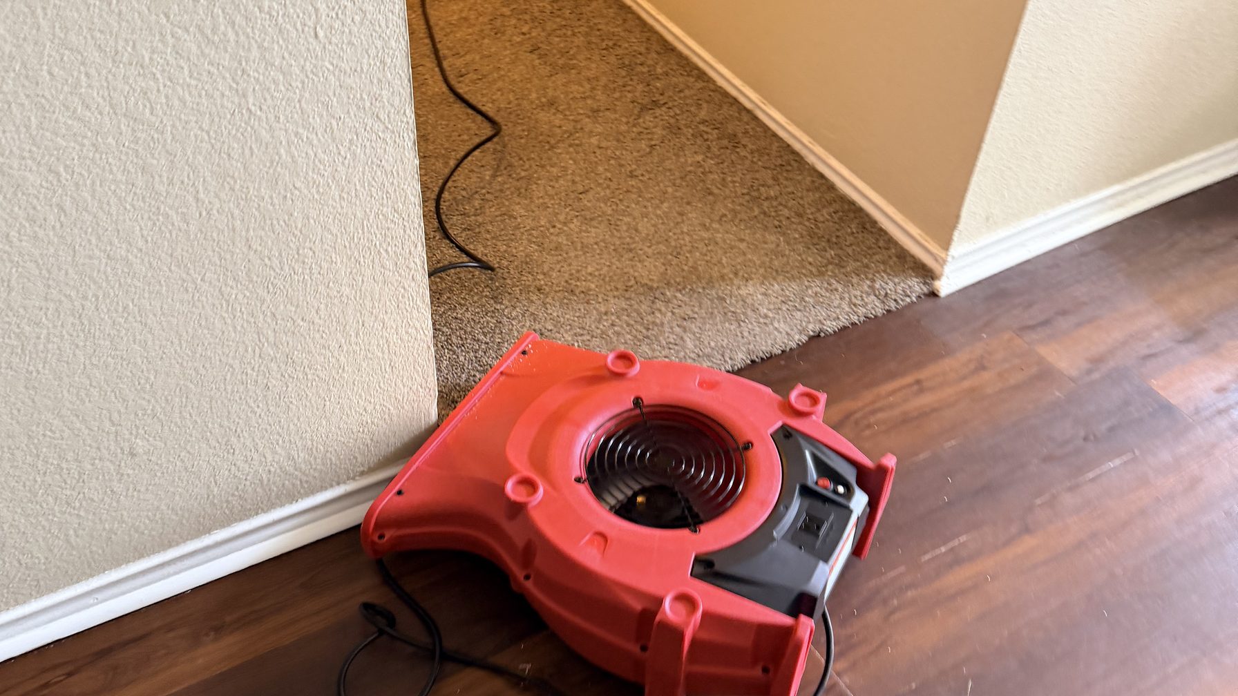 Air mover drying a carpeted closet off a hallway