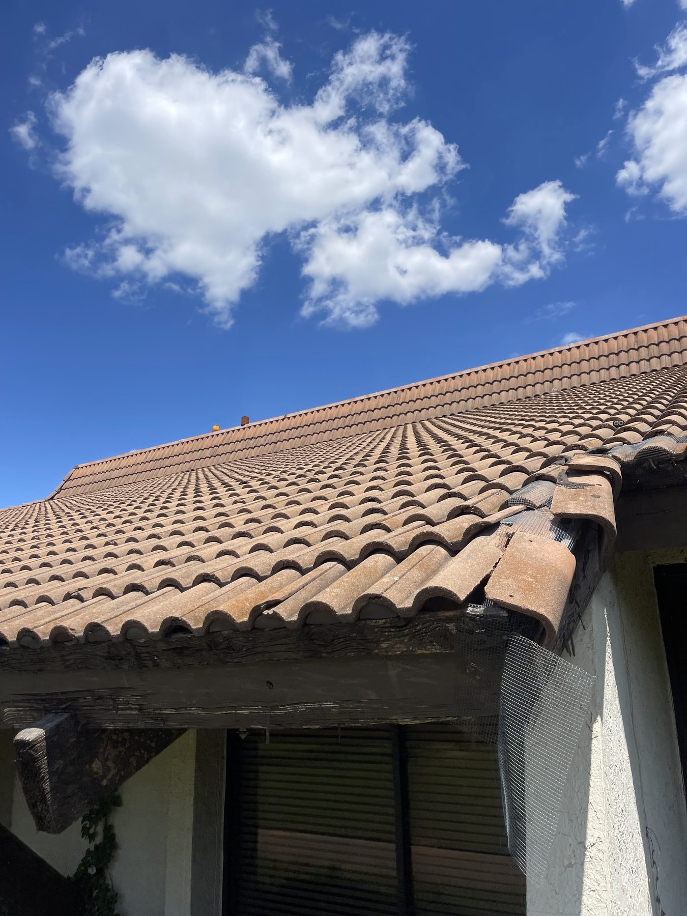Fort Worth — tile edge mesh inspection