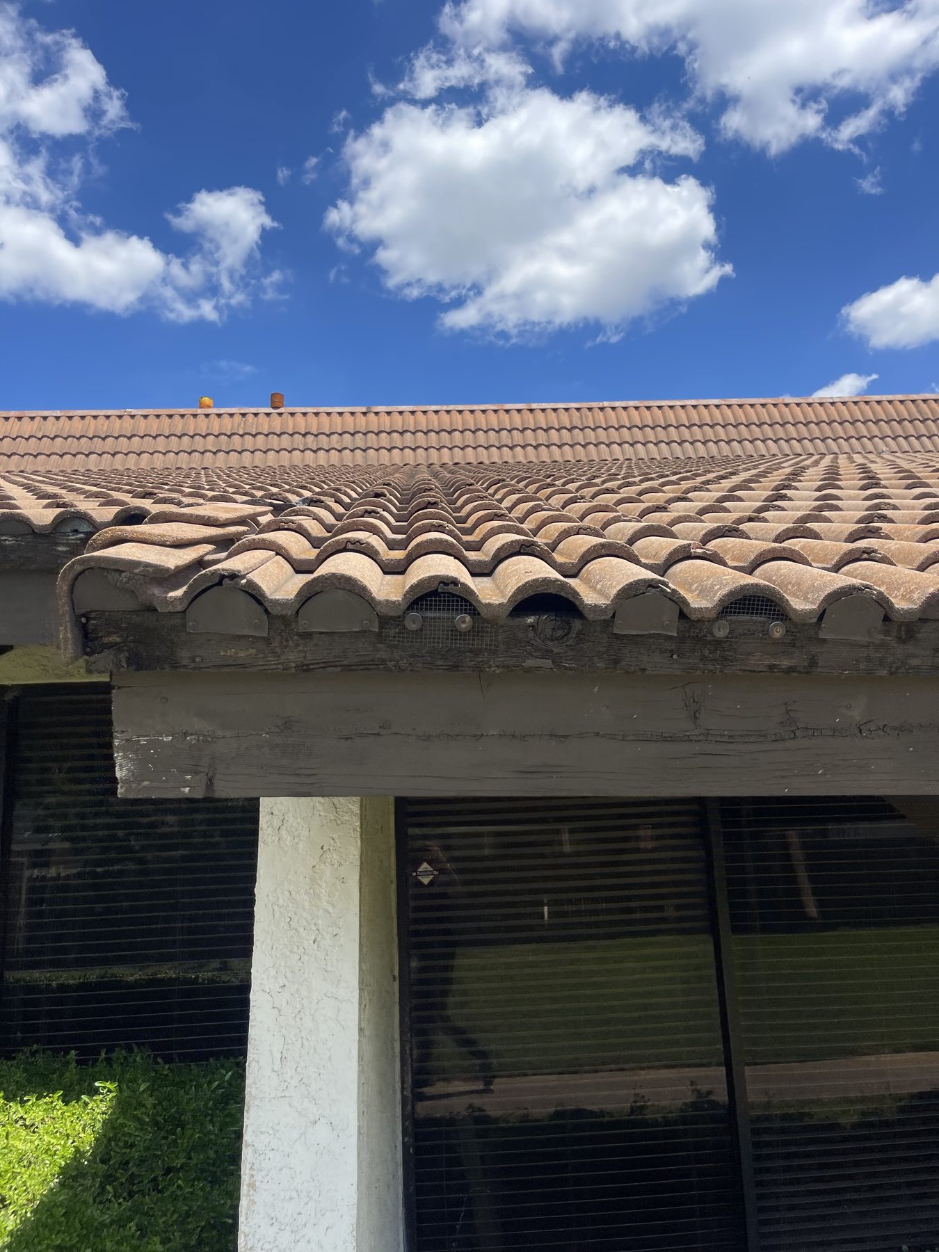 Fort Worth — tile eave and pest mesh
